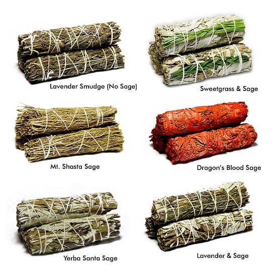 Choose Any 2 Sage Variety 5" of your choice! 10" of Sage