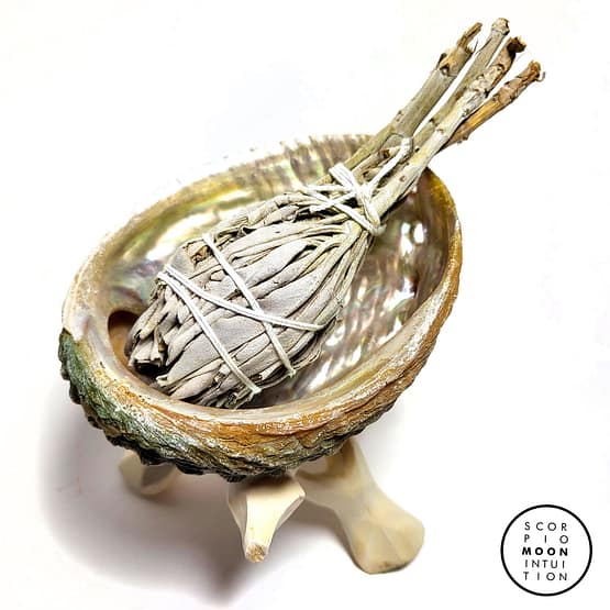 California White Sage Mini Smudge Stick 4" - Image 2
