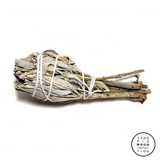 California White Sage Mini Smudge Stick 4"