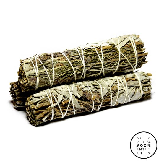 Choose Any 2 Sage Variety 5" of your choice! 10" of Sage - Image 3