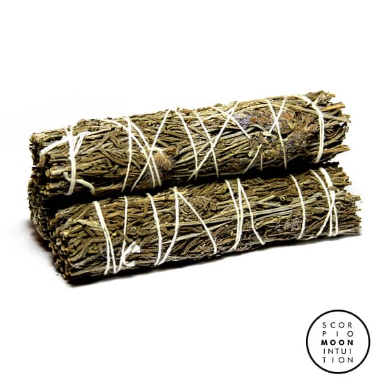 Choose Any 2 Sage Variety 5" of your choice! 10" of Sage - Image 2